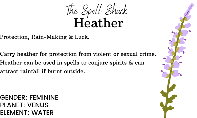 Heather Flowers