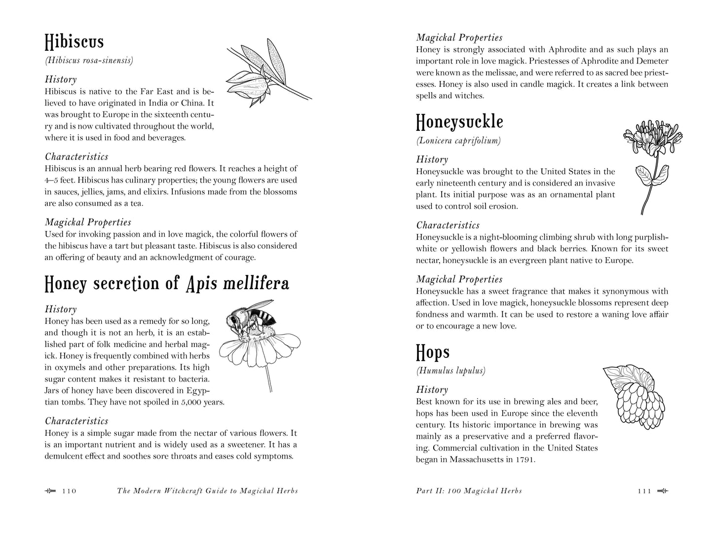 Page from 'The Modern Witchcraft Guide to Magical Herbs' with illustrations and text on herbs like hibiscus, honeysuckle, and hops.