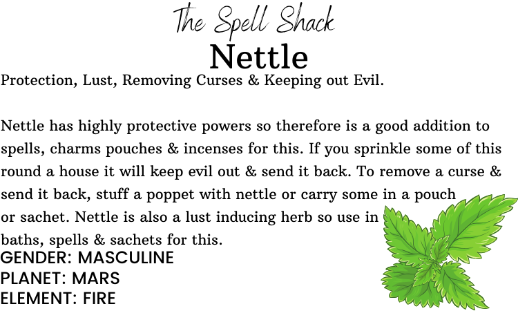 Information about Nettle with text and a leaf illustration on a white background
