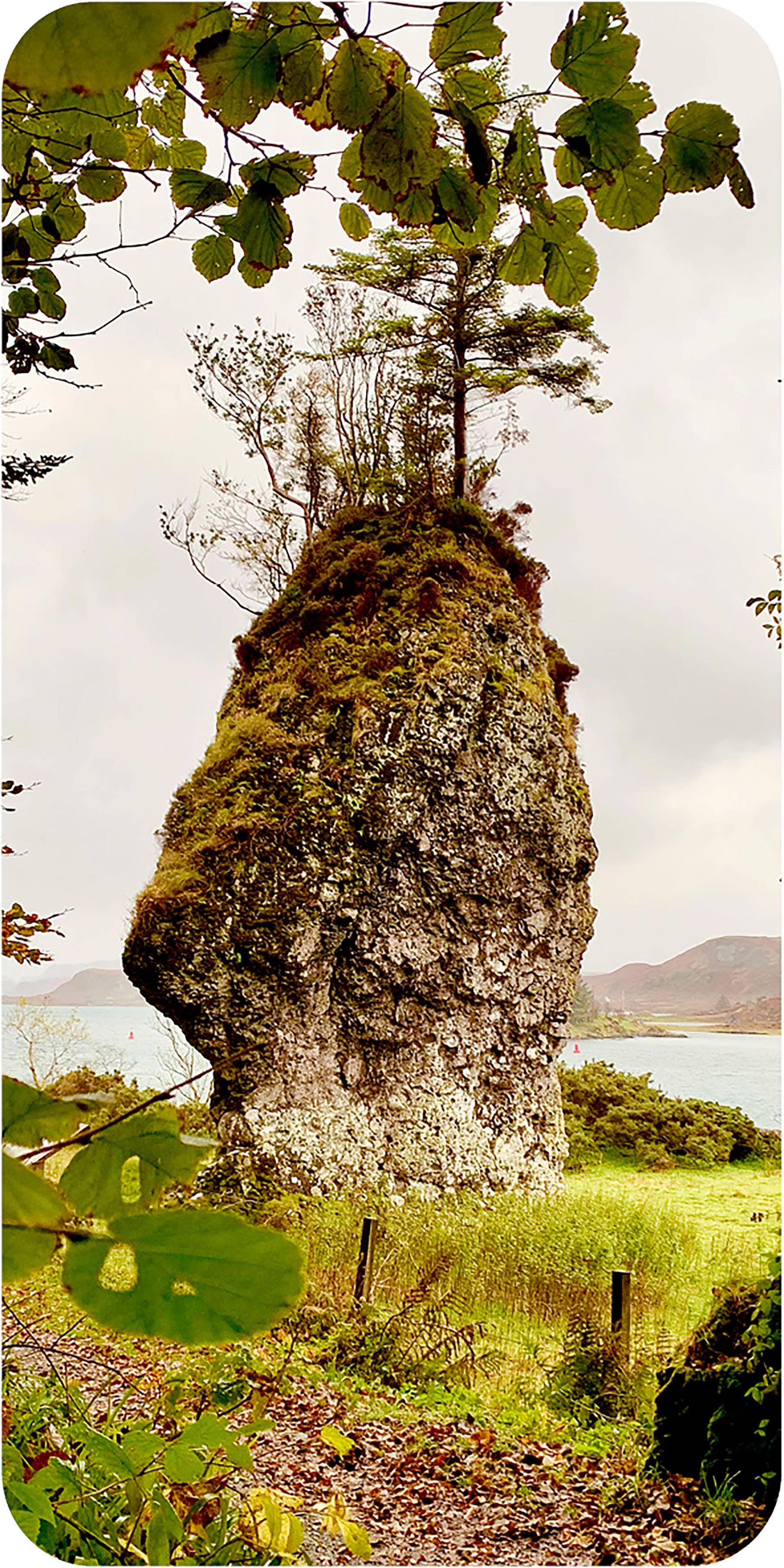 Moss-covered rock formation with trees on top, surrounded by grass and a body of water.