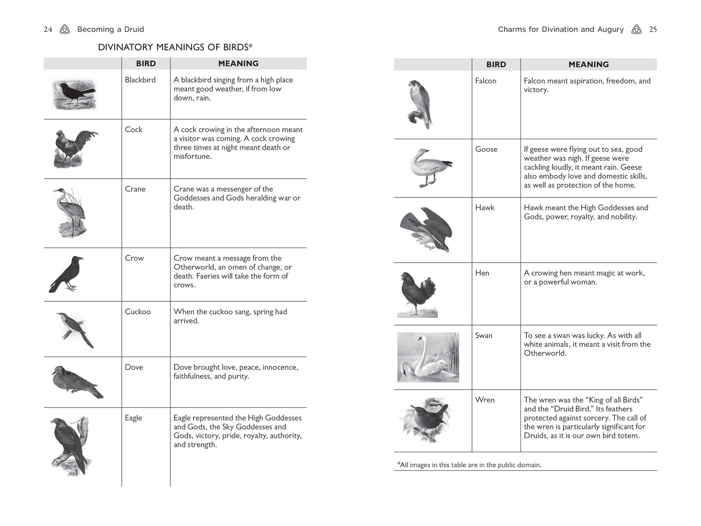 Page with divinatory meanings of birds chart