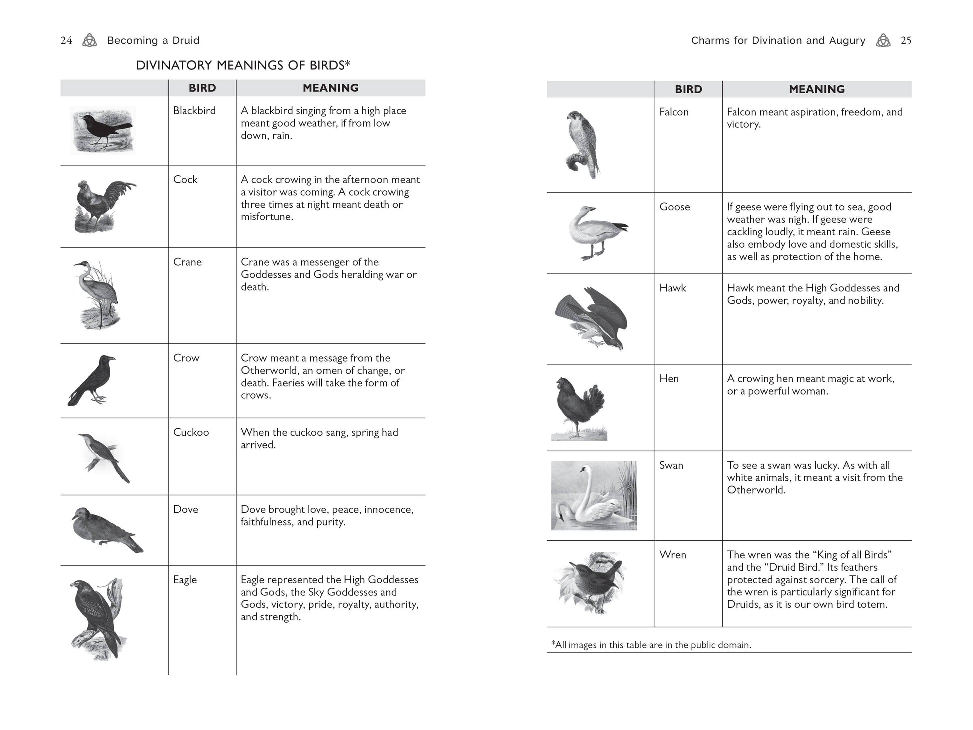 Page with divinatory meanings of birds chart