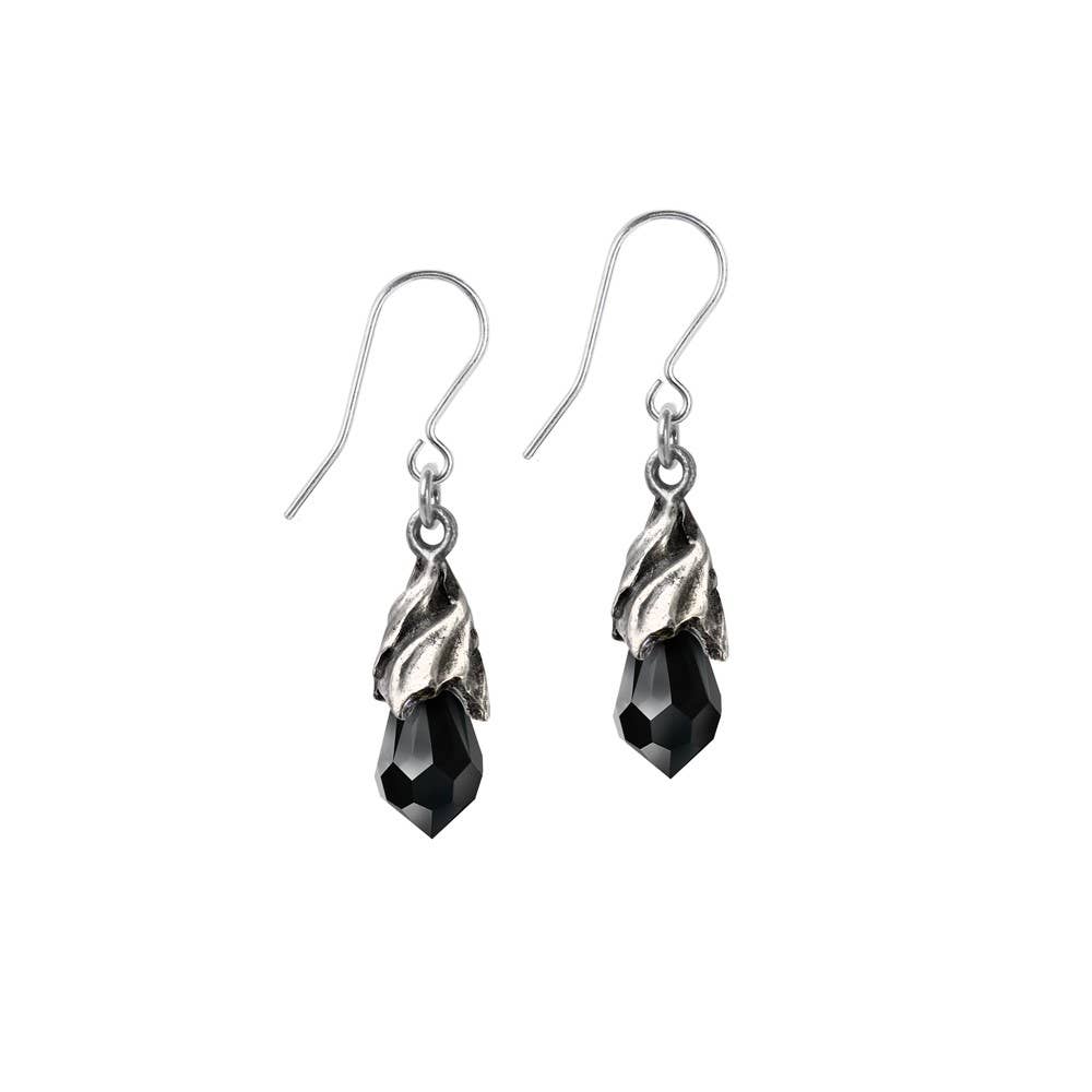 Silver earrings with black gemstones on a white background