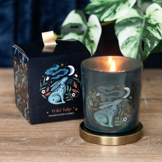 Luna Moth Candle - White Sage