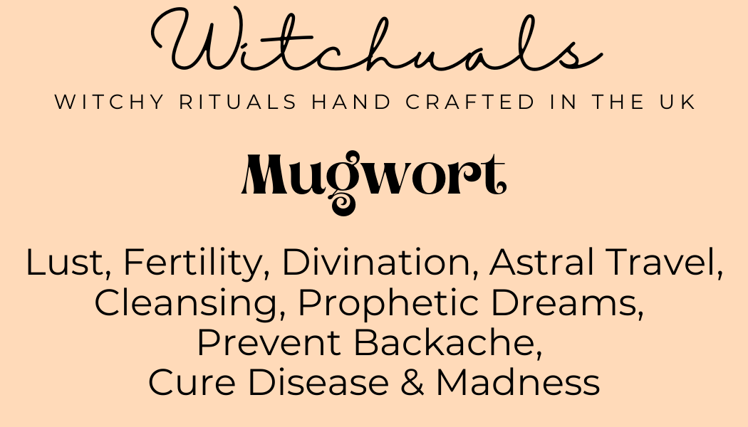 Mugwort