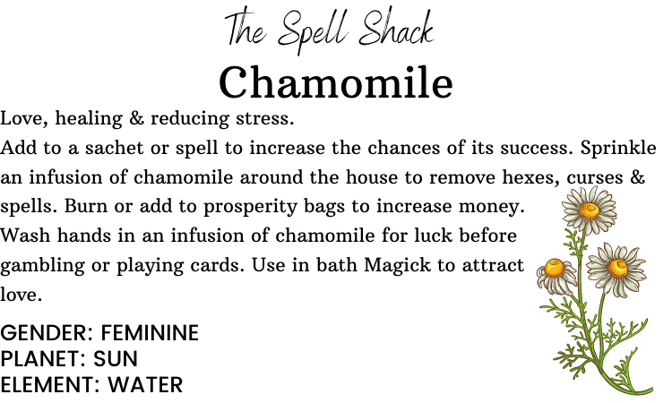 Chamomile