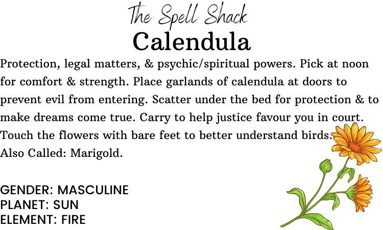 Calendula