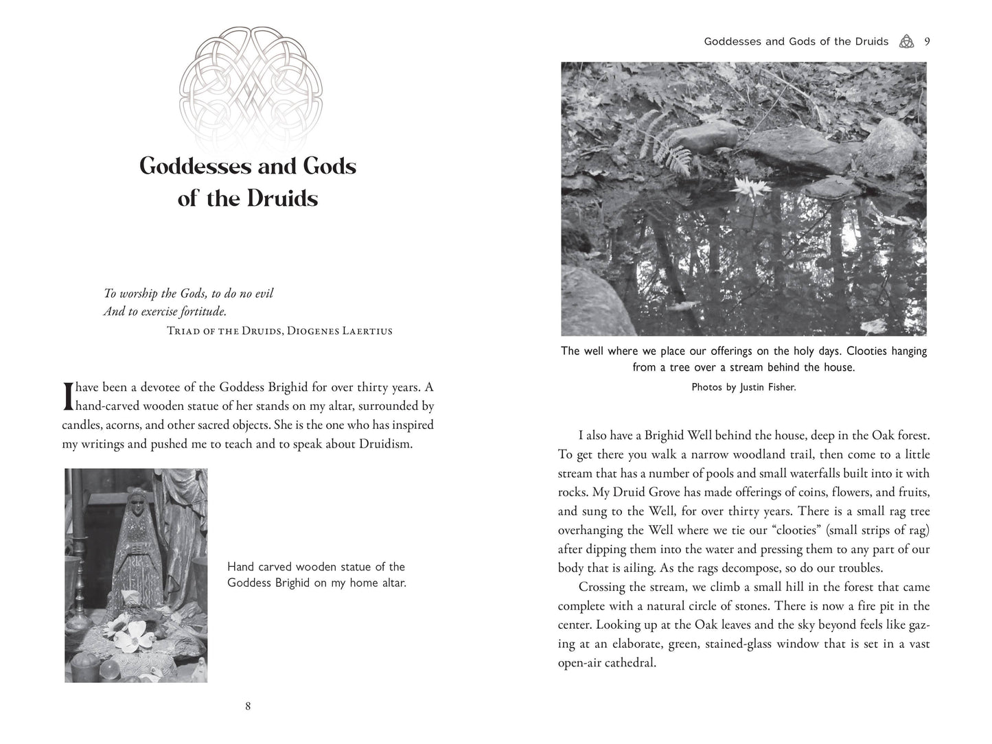 Page from a book titled 'Goddesses and Gods of the Druids' with text and images.