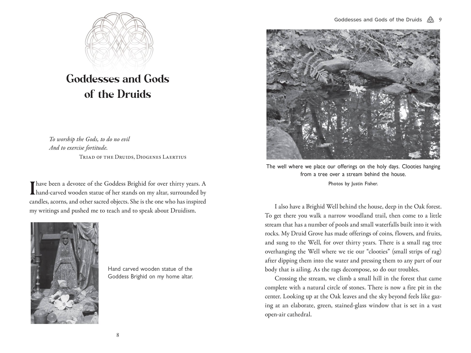 Page from a book titled 'Goddesses and Gods of the Druids' with text and images.