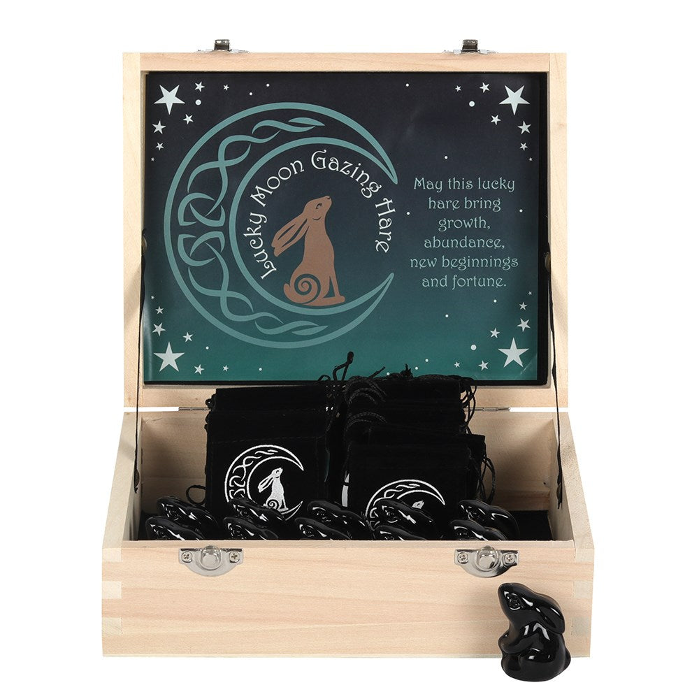Lucky Moon Hare
