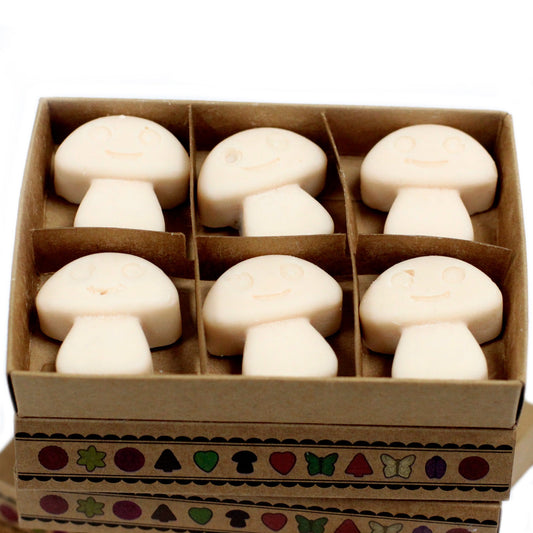 Box of 6 Wax Melts - White Musk
