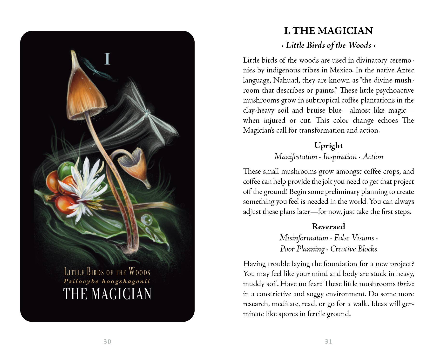Card from a tarot deck titled 'The Magician' with mushroom illustration and descriptive text.