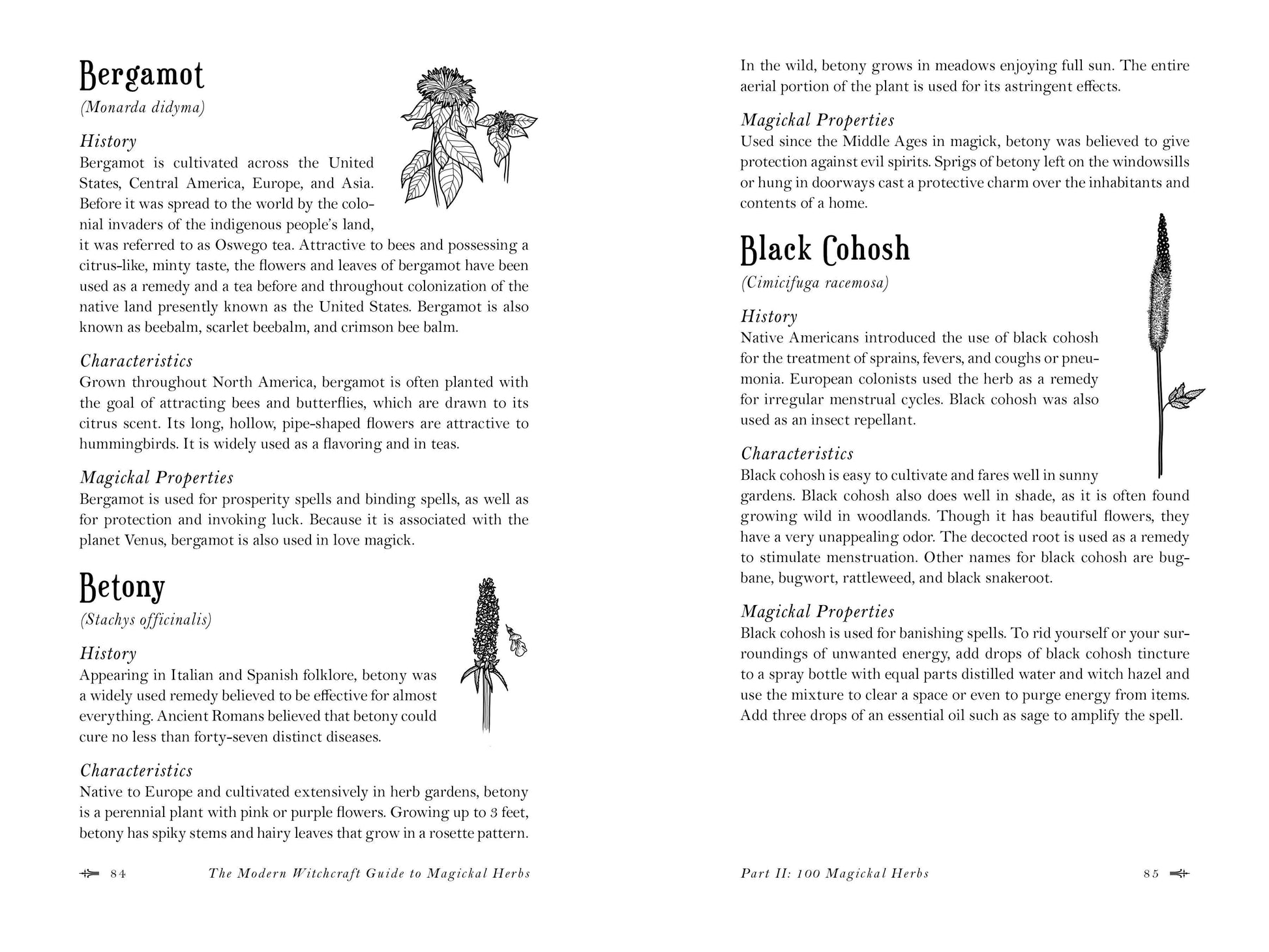 Page from a book titled 'The Modern Witchcraft Guide to Magical Herbs' with text and illustrations of herbs.