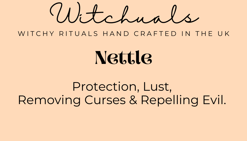 Text on a beige background describing 'Witches' Nettle product.