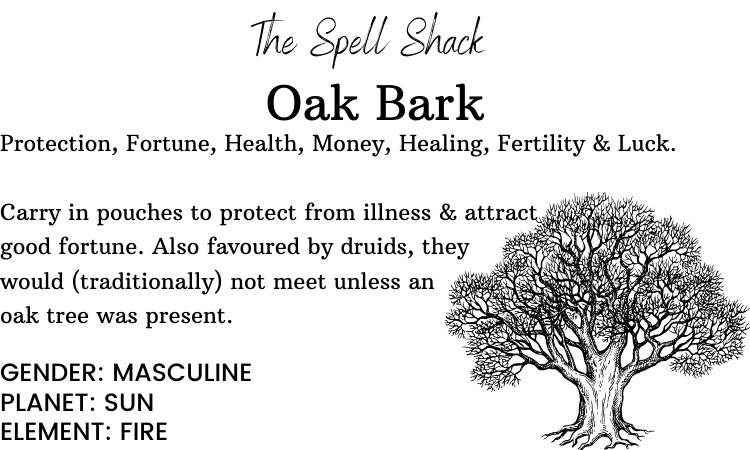 Oak tree illustration with text about Oak Bark from 'The Spell Shack' on a white background.