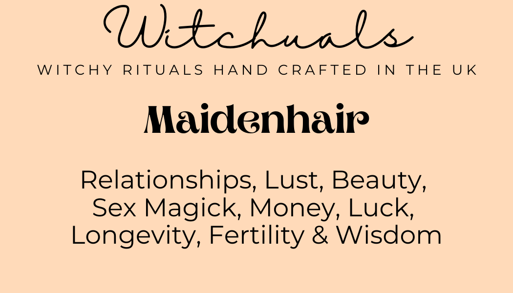 Maidenhair