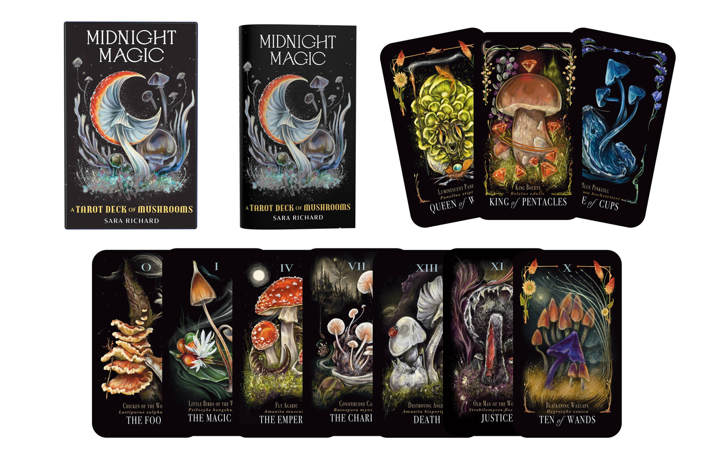 Midnight Magic tarot deck with tarot cards and packaging on a white background