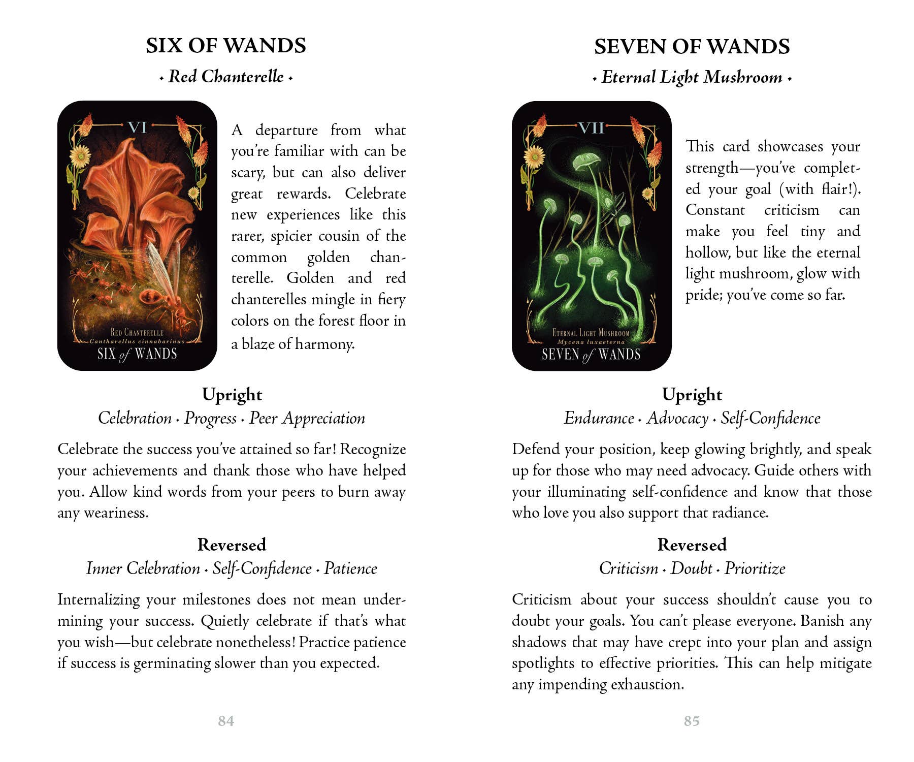 Two tarot cards from a deck, 'Six of Wands' and 'Seven of Wands', with descriptions and meanings.