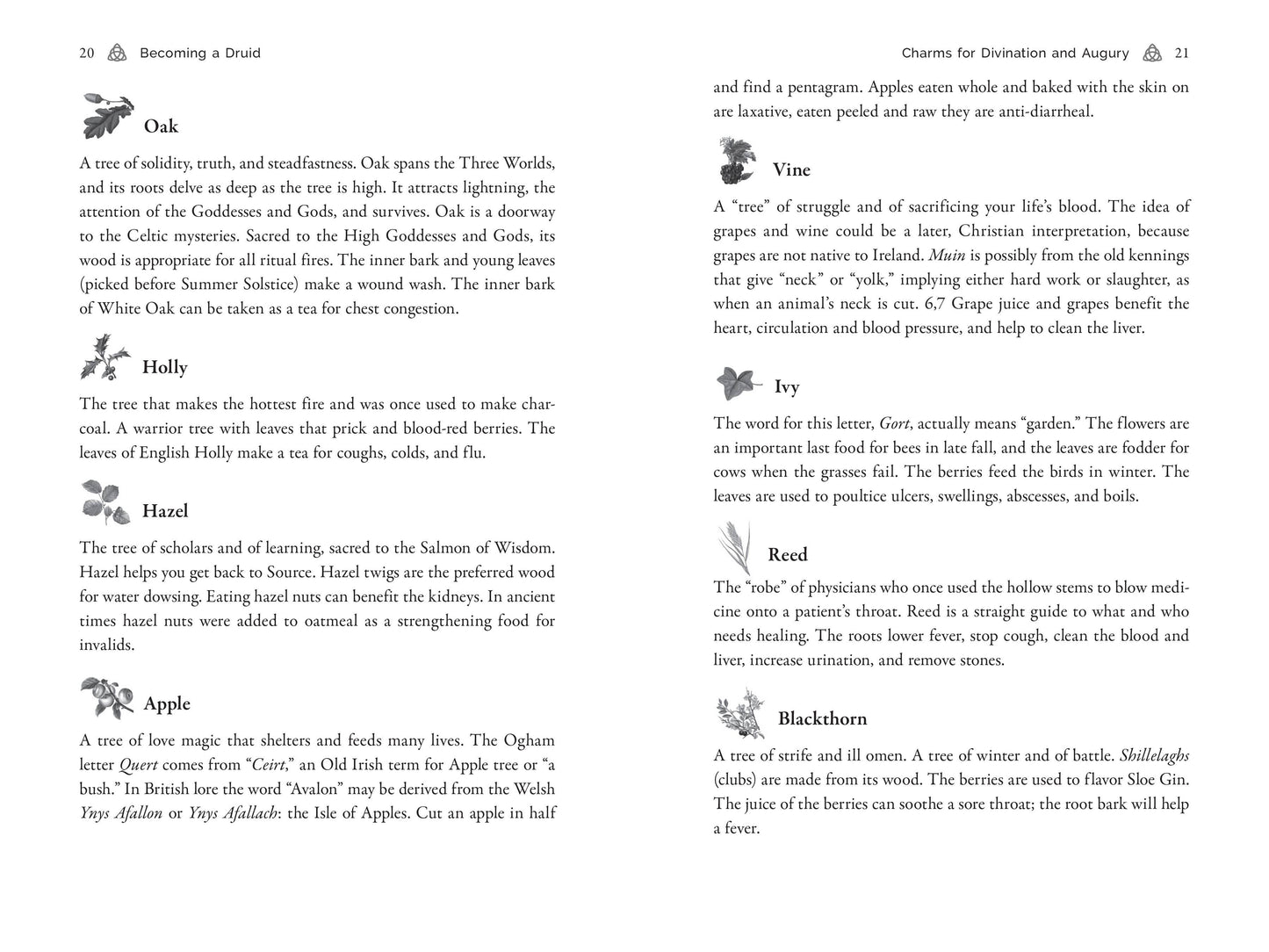 Page from a book with text on herbs and their uses, featuring illustrations of plants.