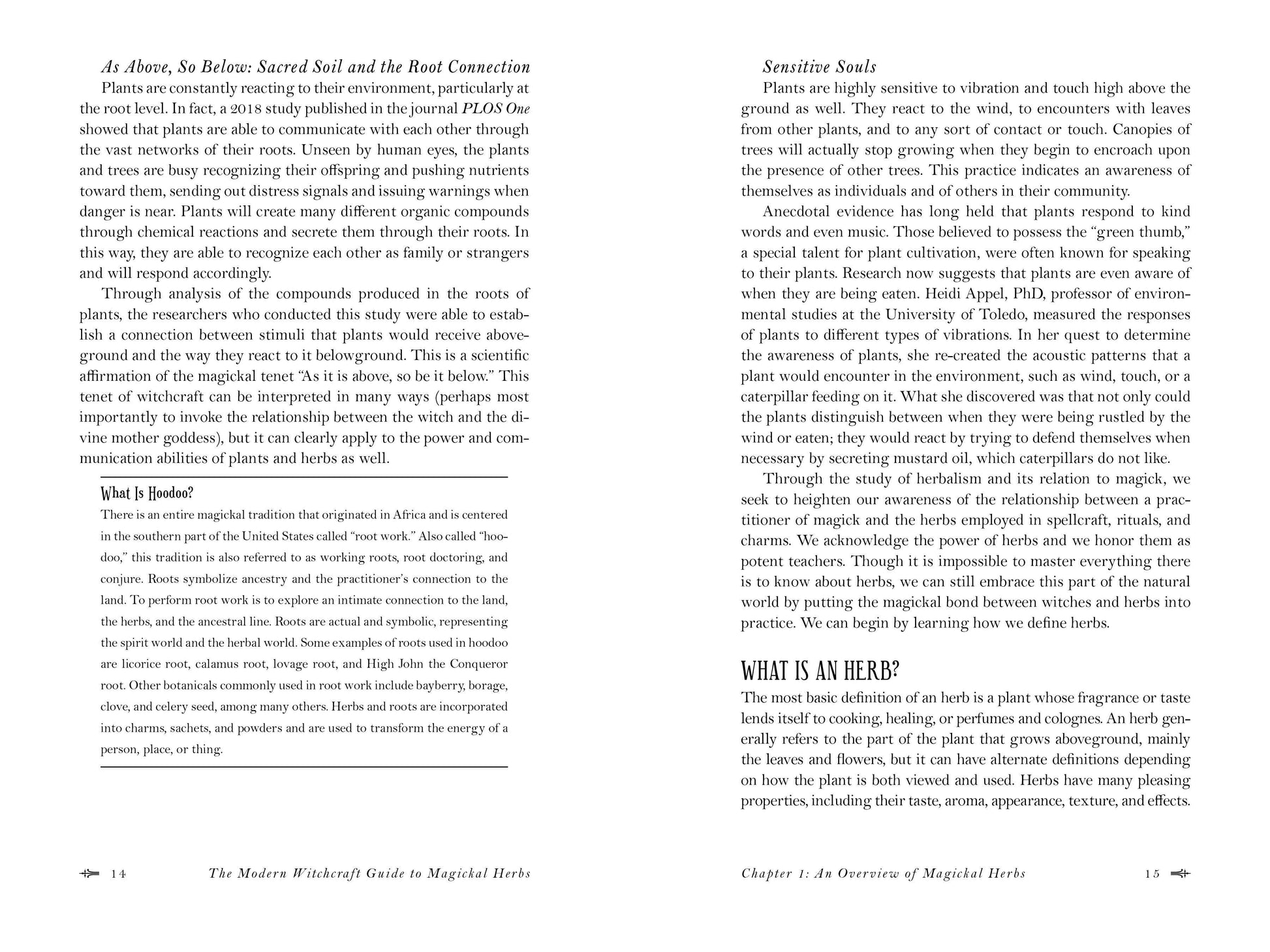 Page from a book titled 'The Modern Witchcraft Guide to Magical Herbs' with text.