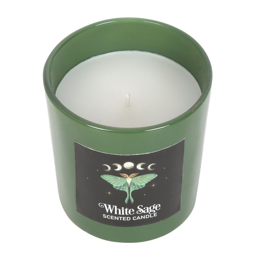 White sage scented candle with Luna moth design on white background