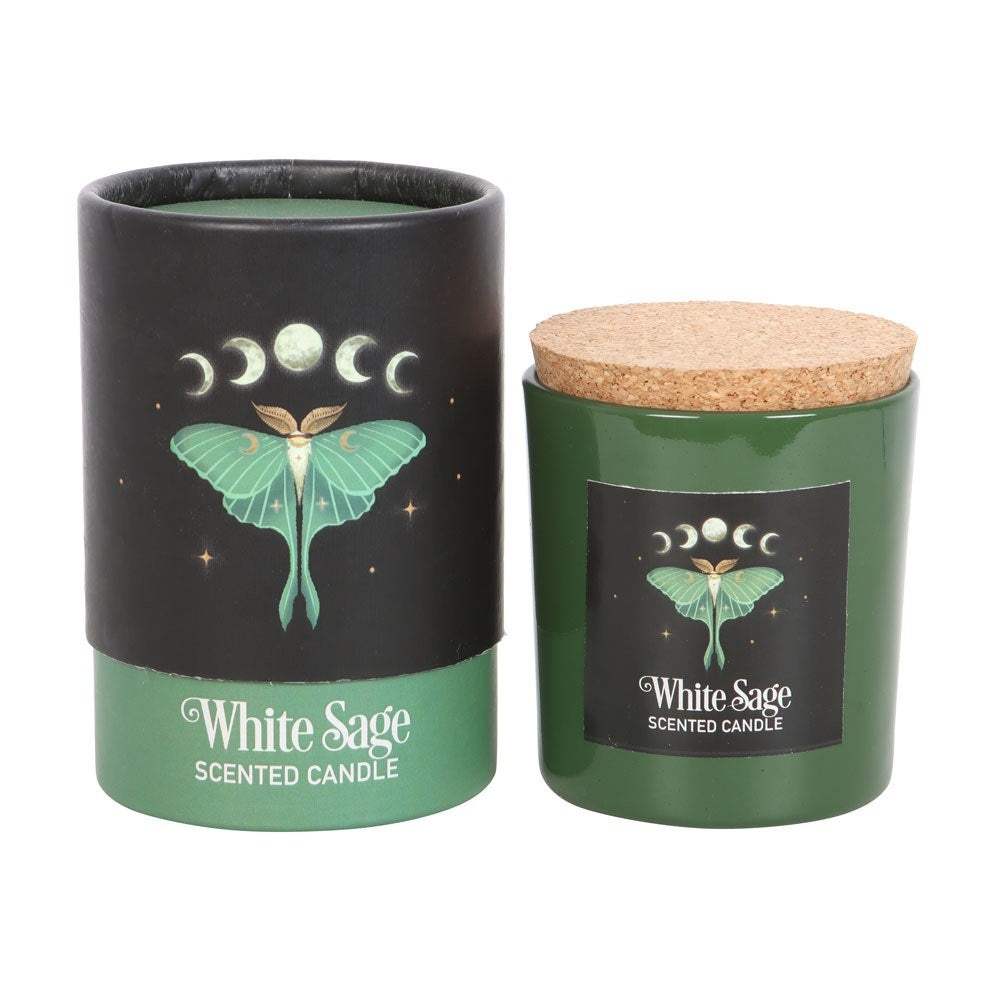 white sage scented candle next to packaging on white background